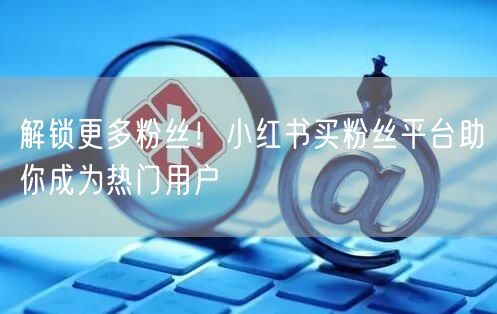 解锁更多粉丝！小红书买粉丝平台助你成为热门用户
