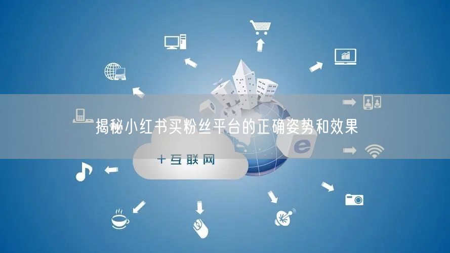 揭秘小红书买粉丝平台的正确姿势和效果