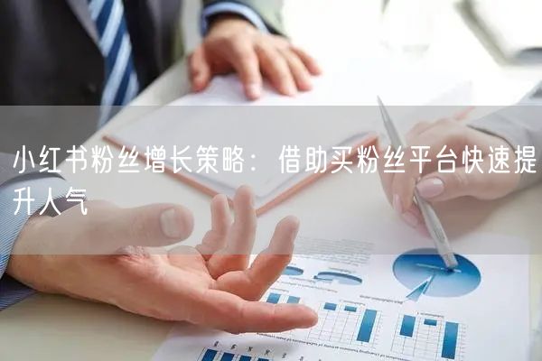 小红书粉丝增长策略：借助买粉丝平台快速提升人气