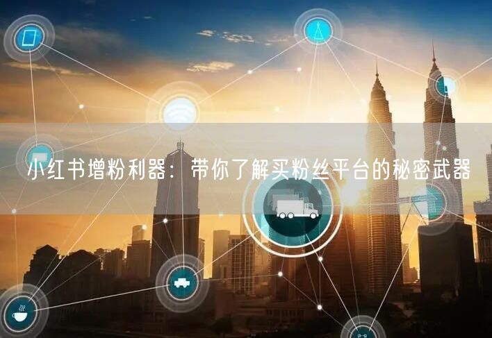 小红书增粉利器：带你了解买粉丝平台的秘密武器