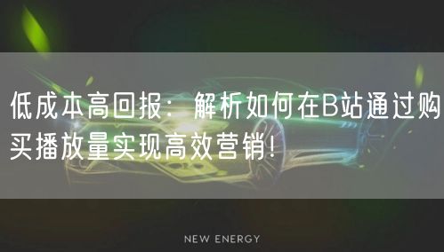 低成本高回报：解析如何在B站通过购买播放量实现高效营销！