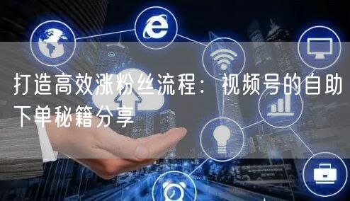 打造高效涨粉丝流程：视频号的自助下单秘籍分享