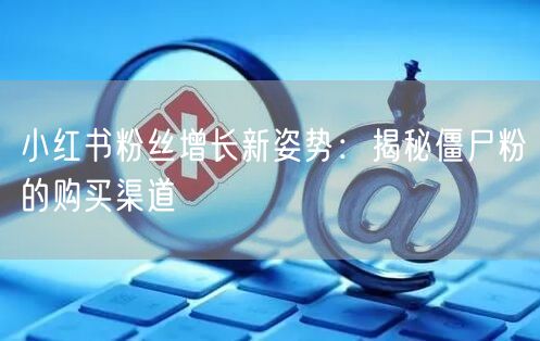 小红书粉丝增长新姿势：揭秘僵尸粉的购买渠道