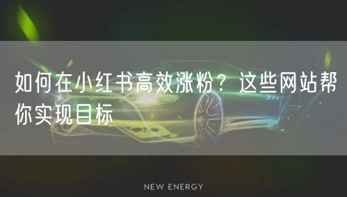 如何在小红书高效涨粉？这些网站帮你实现目标