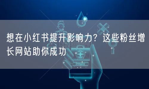 想在小红书提升影响力?这些粉丝增长网站助你成功