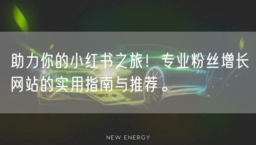 助力你的小红书之旅!专业粉丝增长网站的实用指南与推荐。