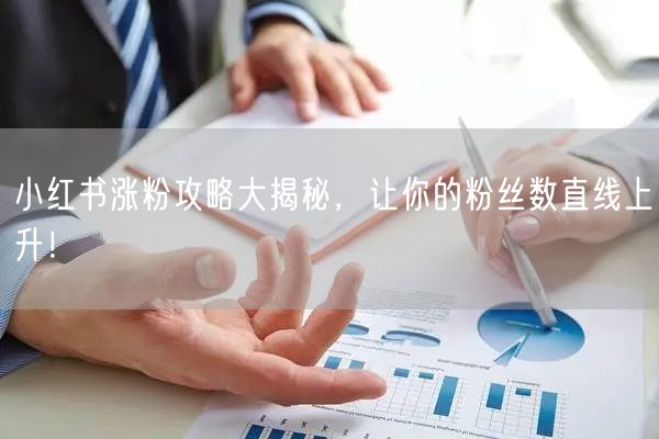小红书涨粉攻略大揭秘，让你的粉丝数直线上升！